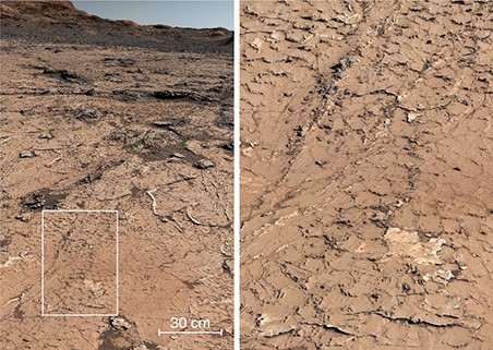 Motif fossile Mars