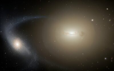 Les étoiles des galaxies naines ultra-compactes